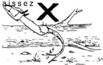 aissez X