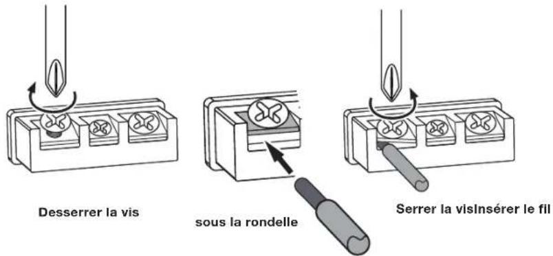 Desserrer la vis sous la rondelle Serrer la visinsérer le fil