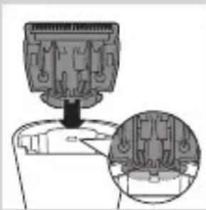 PHILIPS Series 3000 QT4015 - การทำความสะอาด - 3