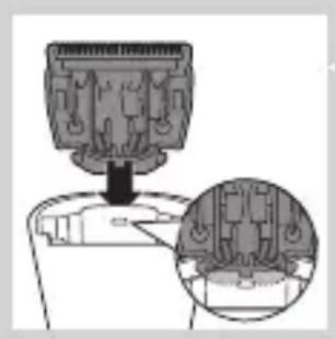 PHILIPS Series 3000 QT4015 - Introducción - 9