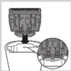 PHILIPS Series 3000 QT4015 - Introducción - 7