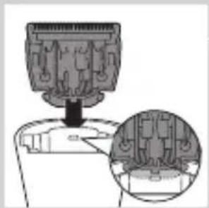 PHILIPS Series 3000 QT4015 - Replacement - 2