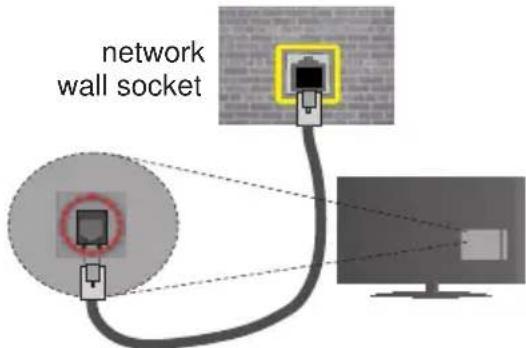 network wall socket