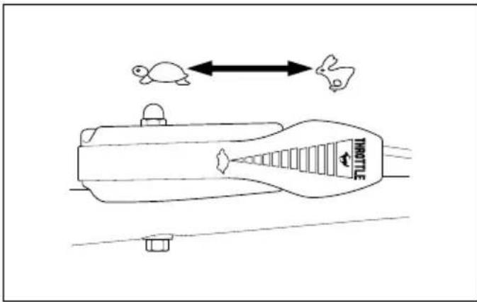 THROTTLE
