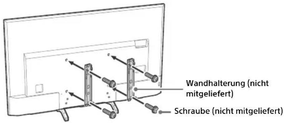Wandhalterung (nicht mitgeliefert) Schraube (nicht mitgeliefert)