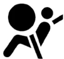 NISSAN Frontier (2007) - SUPPLEMENTAL AIR BAG WARNING LABELS - 1