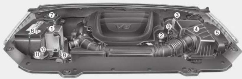 Technical diagram of a car engine bay with numbered components for identification