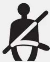 KIA Borrego (2017) - Seat belt warning - 1