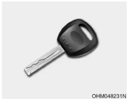 Close-up of a black key with metallic handle and visible teeth, no text or symbols on the object itself.