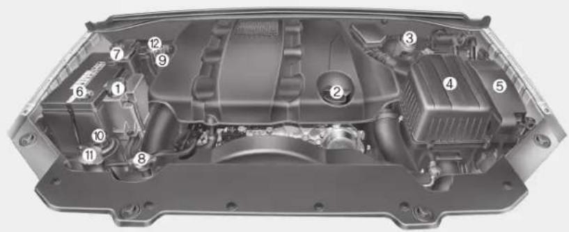 Technical diagram of a car engine bay with numbered components for identification