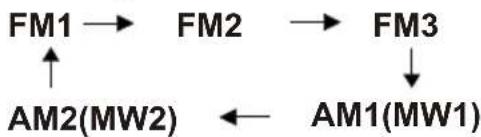 graph TD A["FM1"] --> B["FM2"] B --> C["FM3"] C --> D["AM1(MW1)"] D --> E["AM2(MW2)"] E --> A