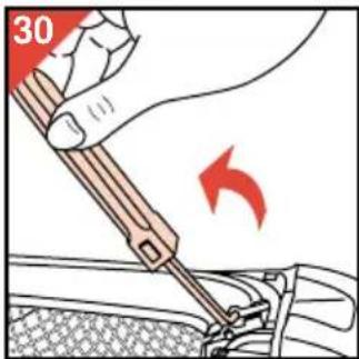 30