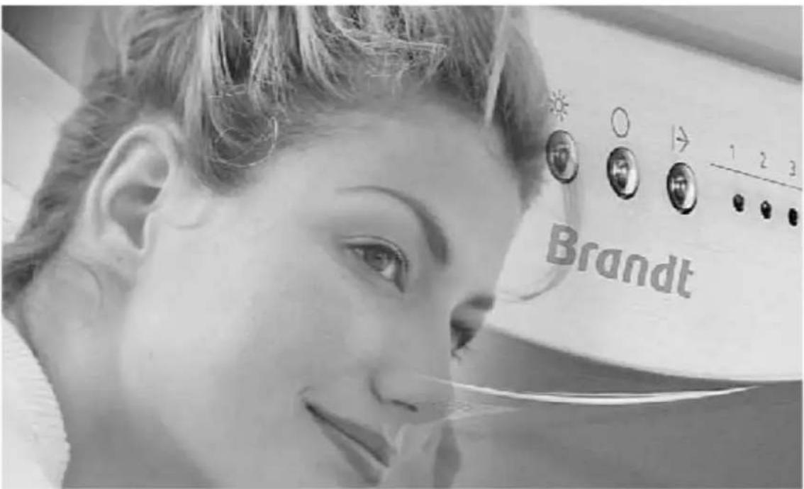 Brandt