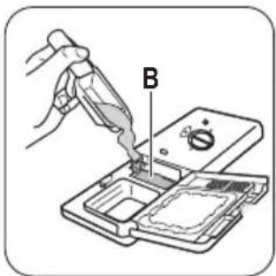 B