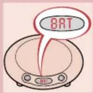 BAT BI