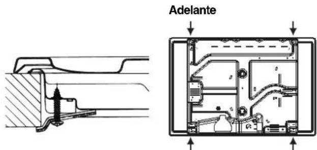 Adelante