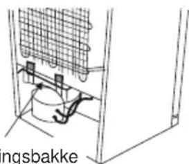 ngsbakke