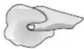 BOSCH PCH615DEU - JA - 1