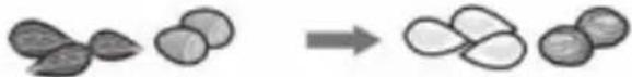 BOSCH MMB42G1B - Looking for help? You'll find it here. - 20