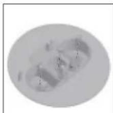 Abstract grayscale oval shape with faint internal patterns (no text or symbols)
