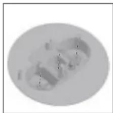 Abstract grayscale oval shape with faint internal patterns (no text or symbols)