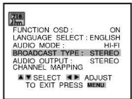 FUNCTION OSD: ON LANGUAGE SELECT: ENGLISH AUDIO MODE: HI-FI BROADCAST TYPE: STEREO AUDIO OUTPUT: STEREO CHANNEL MAPPING ▼ SELECT ▶ ADJUST TO EXIT PRESS MENU