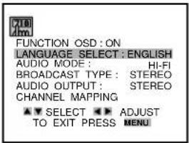 FUNCTION OSD: ON LANGUAGE SELECT: ENGLISH AUDIO MODE: HI-FI BROADCAST TYPE: STEREO AUDIO OUTPUT: STEREO CHANNEL MAPPING ▼ SELECT ▶ ADJUST TO EXIT PRESS MENU
