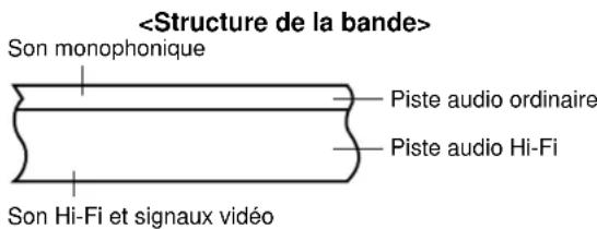 Son monophonique Piste audio ordinaire Piste audio Hi-Fi Son Hi-Fi et signaux vidéo