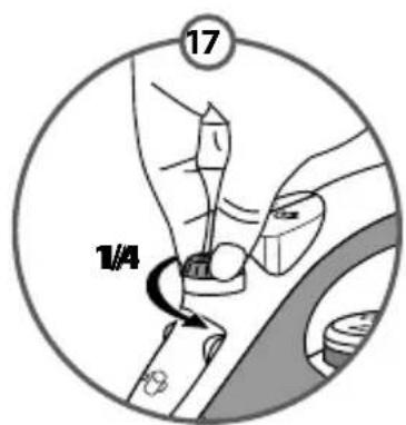 17 1/4