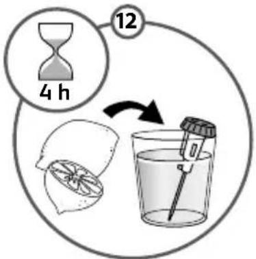 12 4 h