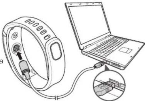 Qilive Q.4049 - Încărcarea bateriei - 1