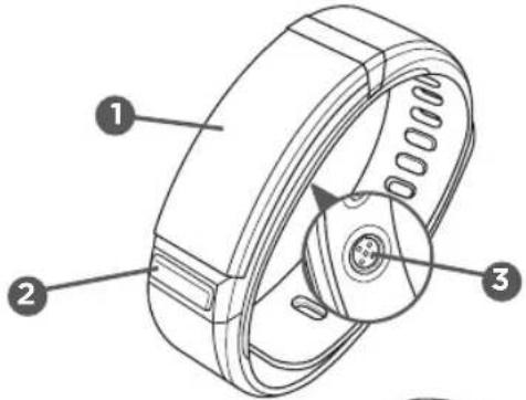 Qilive Q.4049 - Prodotto - 1