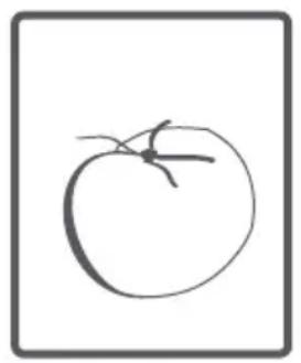Simple line drawing of a tomato (no text or symbols)