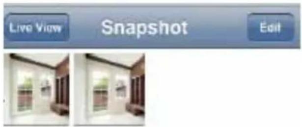 Live View Snapshot Edit