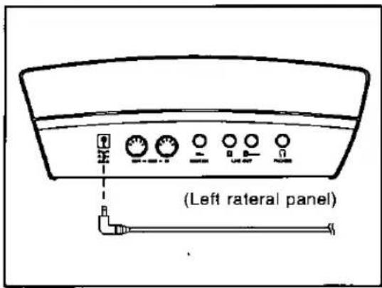 (Left lateral panel)