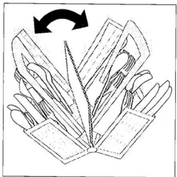 Diagram of a mechanical assembly with multiple blades and a central pin, showing rotational motion (no text or symbols)