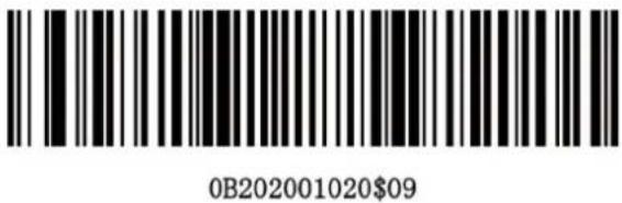 KONIG CMP-BARSCAN31 - Macro/Special keys setup barcodes: - 14