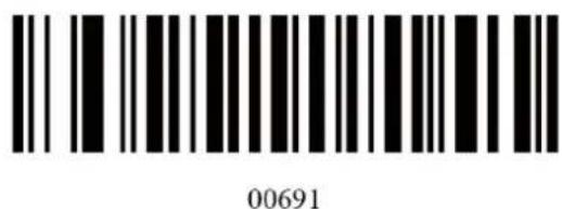 00691