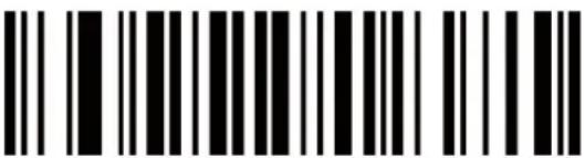 KONIG CMP-BARSCAN31 - Einrichtung Strichcodetypen: - 51
