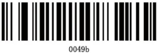 KONIG CMP-BARSCAN31 - Einrichtung Strichcodetypen: - 47