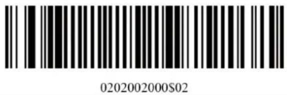 0202002000$02
