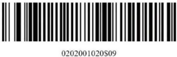 KONIG CMP-BARSCAN31 - Codici a barre Configurazione macro/tasti speciali: - 13