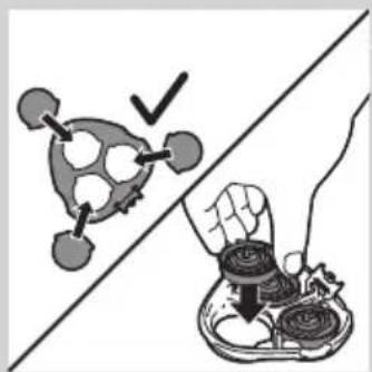 Illustration showing a hand holding a bowl of food next to a stylized vegetable or tomato, with a checkmark indicating a detail (no text or symbols present)
