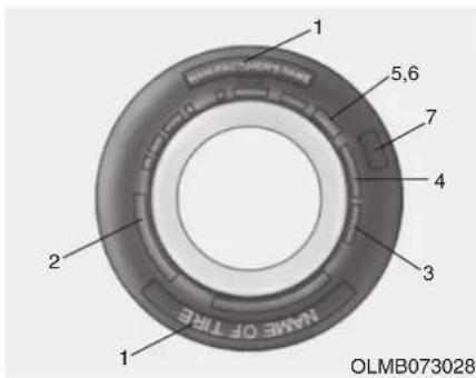 1 5,6 7 4 3 2 NAME OF TIME 1 OLMB073028