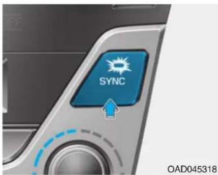 SYNC OAD045318