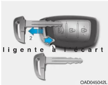 ligente à l'écart OAD045042L