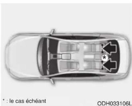 : le cas échéant ODH033106L