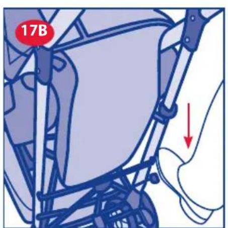 17B