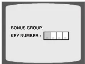 BONUS GROUP KEY NUMBER : _ _ _ _