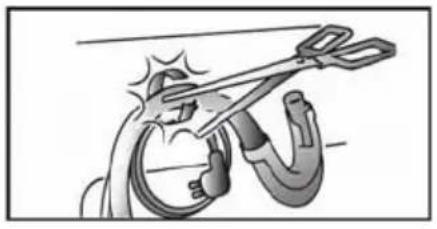 CANDY Holiday 084 DF - WARNING! - 1